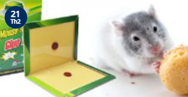 Bẫy diệt chuột - Công Ty TNHH Pestcontrol